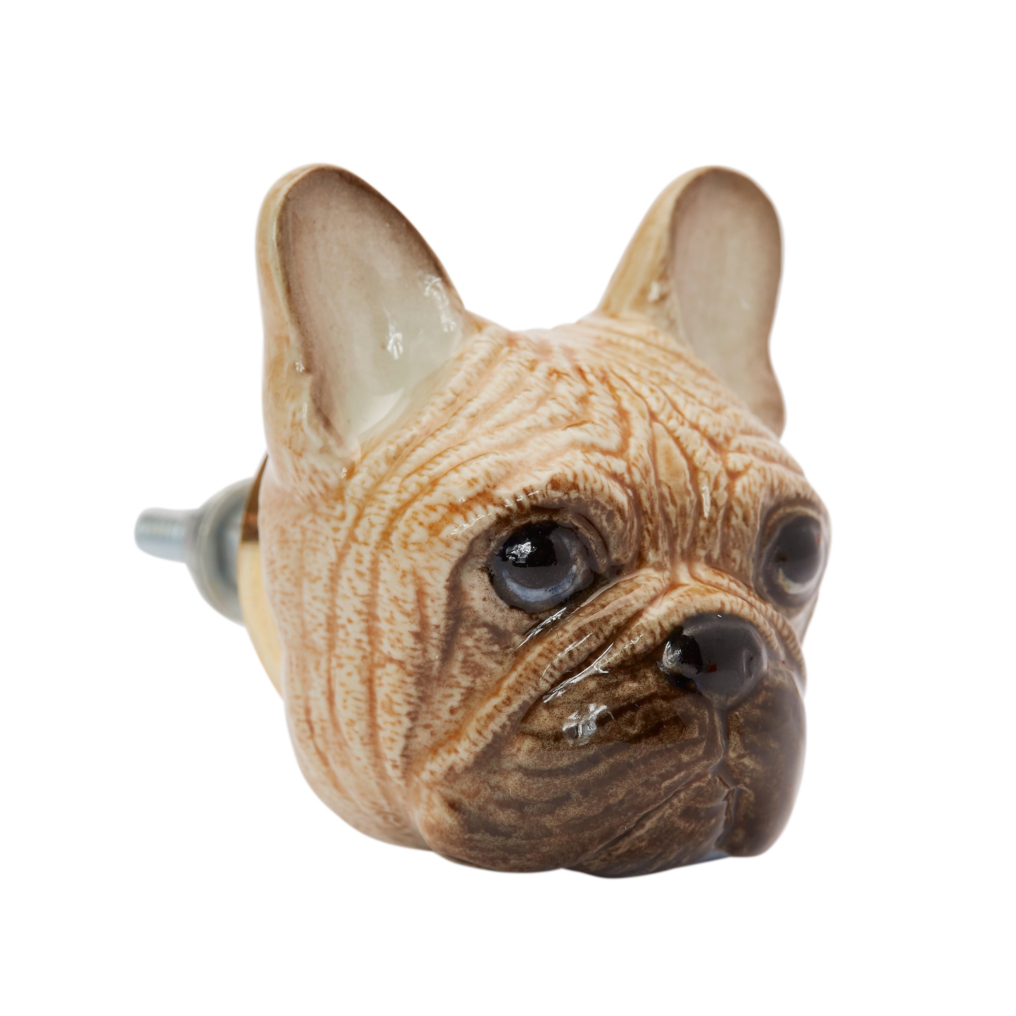 Fawn French Bulldog Head Doorknob