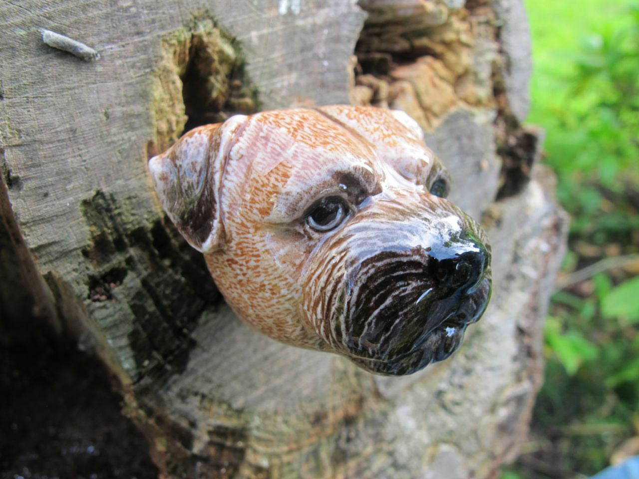 Border Terrier Doorknob