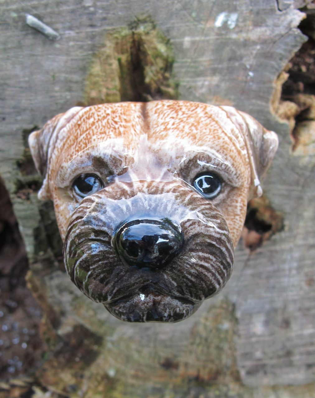 Border Terrier Doorknob