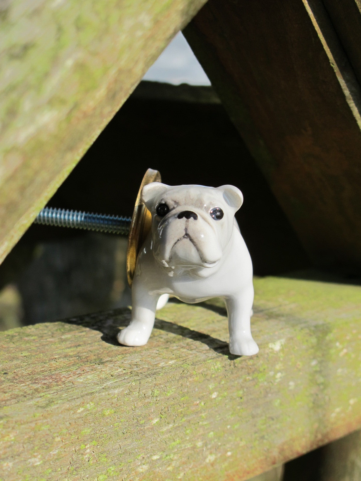 Autumn Sale - Bulldog Doorknob