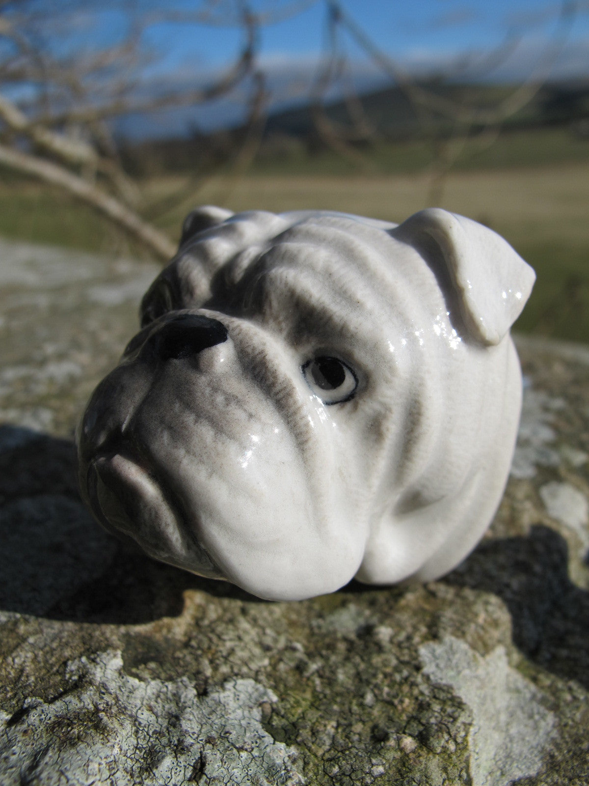 Bulldog Head Doorknob