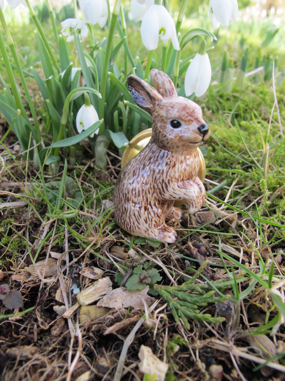 Autumn Sale - Brown Rabbit Doorknob