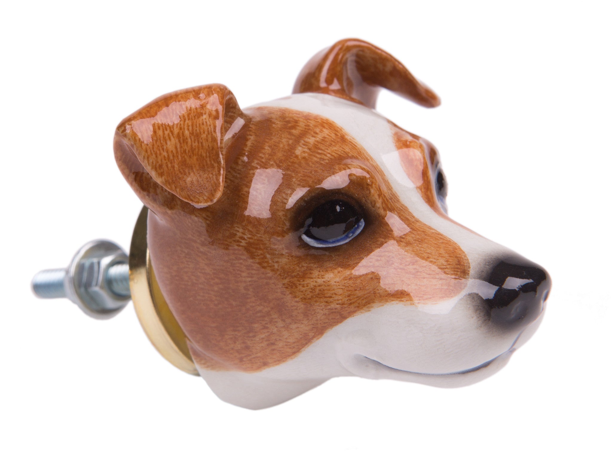 Paddy The Jack Russell Terrier Doorknob