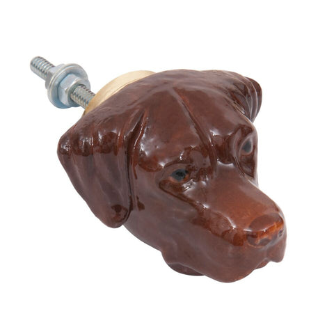 Chocolate Labrador Doorknob