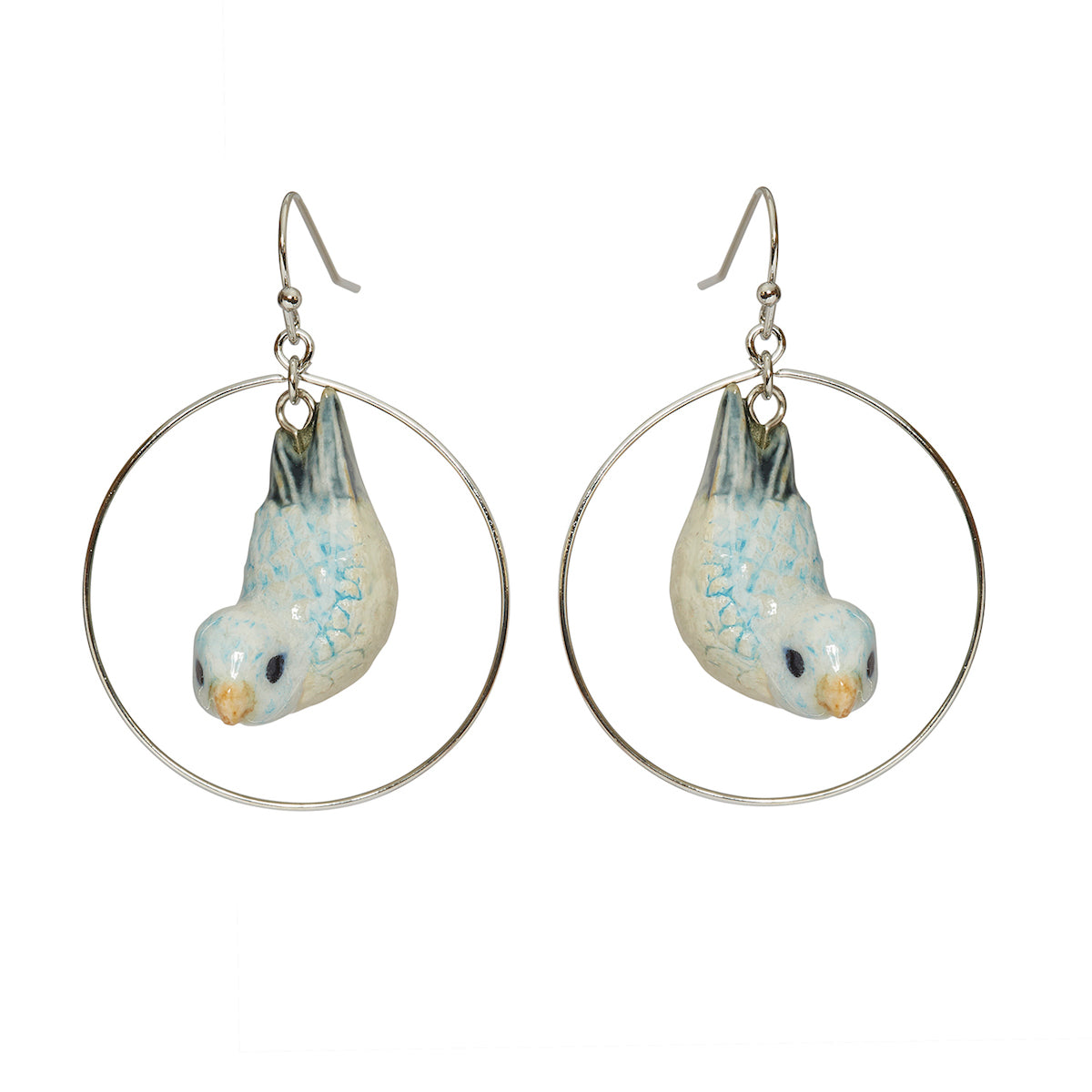 Blue Parrotlet Round Drop Earrings