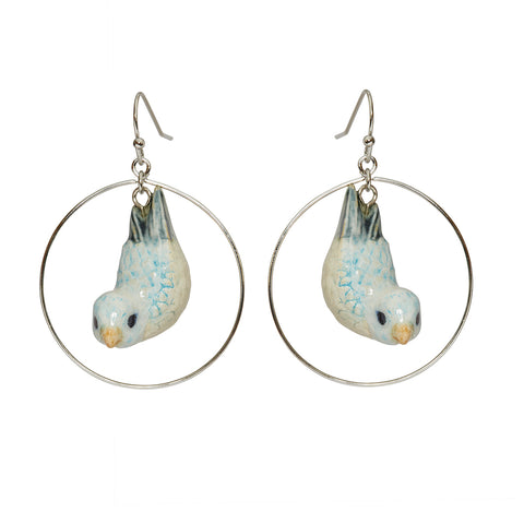 Blue Parrotlet Round Drop Earrings