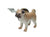 Autumn Sale - Pug Doorknob