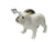 Autumn Sale - Bulldog Doorknob